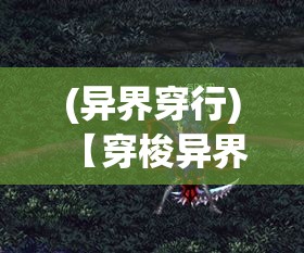 (异界穿行) 【穿梭异界：神域魔阵的奥秘与挑战】探索隐藏在光影之下的秘密，揭开层层迷雾，一窥终极真相。